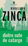 Dintre sute de catarge - Haralamb Zinca