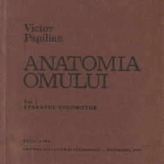 Anatomia omului vol. I – Aparatul locomotor (Victor Papilian) – Atlas