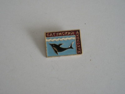 QW9 L 69 - insigna - tematica orase - Batunski - Fosta URSS - acvariul foto
