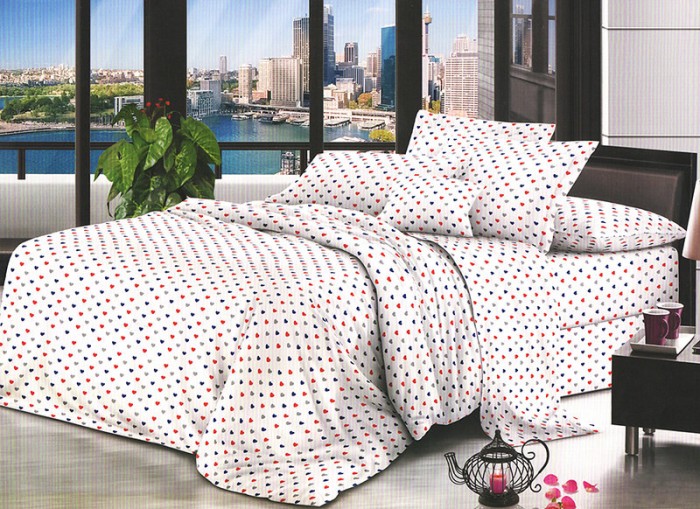 Lenjerie de pat matrimonial SUPER cu husa de perna dreptunghiulara, Damiane, bumbac mercerizat, multicolor