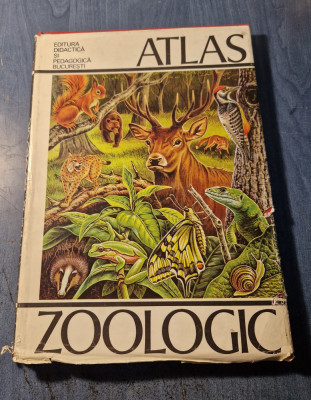 Atlas Zoologic Constantin Bogoescu foto