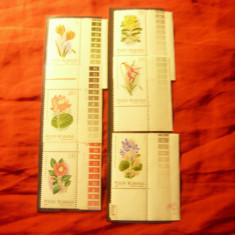 Serie Romania 1980 - Flora - Flori exotice Gradina Botanica Bucuresti, 6 valori