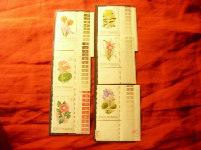 Serie Romania 1980 - Flora - Flori exotice Gradina Botanica Bucuresti, 6 valori