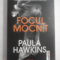 FOCUL MOCNIT (roman) - Paula HAWKINS