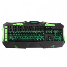 TASTATURA GAMING ILUMINATA KESTREL ESPERANZA Util ProCasa foto