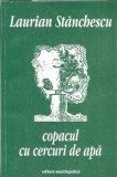 (autograf) Copacul cu cercuri de apa - Laurian Stanchescu