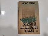 Paznici la drumul mare de Viorel Stirbu