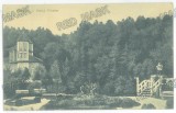 1958 - PITESTI, Arges, Trivale Park, Romania - old postcard, CENSOR - used - 1916