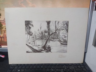 Hrandt Avachian Planșă Delta La fereastră &amp;Icirc;ntr-o oală dorm măsline Buc. 1976 224 foto