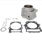Cilindru ATV Yamaha YFM 700 R (12-16) - YFM 700 Grizzly (08-13) - YFM 700 Raptor (08-17) 4T LC 700cc D 102.00 mm