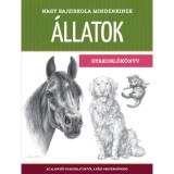 Nagy rajziskola mindenkinek - &Aacute;llatok - Gyakorl&oacute;k&ouml;nyv - Walter Foster