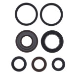 Set complet semeringuri ambielaj + motor Aprilia Mojito (99-02) - Piaggio Liberty (98-00) - Sfera - Vespa ET4 (96-99) (non Leader) 4T AC 125cc