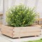 vidaXL Jardinieră de grădină, 80x80x26,5 cm, lemn masiv de pin 847308
