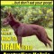 Australian Kelpie, Australian Kelpie Training AAA Akc Think Like a Dog, But Do: Kelpie Breed Expert Training Here&#039;s Exactly How to Train Your Kelpie