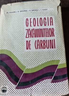 GEOLOGIA ZACAMINTELOR DE CARBUNI - GR. RAILEANU SI ALTII foto