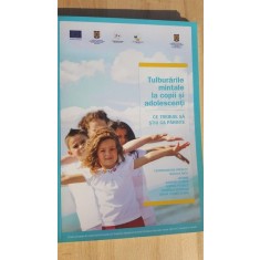 Tulburarile mintale la copii si adolescenti- Raluca Nica, Gaspar Gyorgy