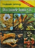 Tudor Opris - Din tainele lumii vii Vol. 1: Plante (Editura Didactica Si Pedagogica). Carte Stiintifica Educativa despre Natura, Flora, Fauna. 1992