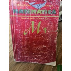MATEMATICA MANUAL PENTRU CLASA A XI-A - MARIUS BURTEA