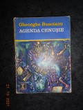 GHEORGHE BUZOIANU - AGENDA CENUSIE