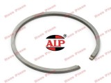 Segment 39mm x 1.2mm (AIP)