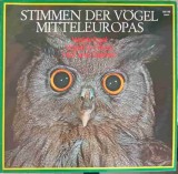 Disc vinil, LP. Stimmen Der V&ouml;gel Mitteleuropas. SET 2 DISCURI VINIL-Dr. Michael Schubert-242634