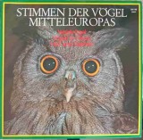 Disc vinil, LP. Stimmen Der V&ouml;gel Mitteleuropas. SET 2 DISCURI VINIL-Dr. Michael Schubert, Rock and Roll