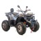 ATV XTR Pro Farmer 019, roti 10 inch, 250cc, 1+1 viteze, jante de aluminu, culoa... Cod Produs: MX_NEW XTR-019/10PRO4