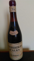 VIN DE COLECTIE NEBBIOLO D&amp;#039;ALBA 1977 foto