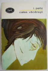 Calea Vacaresti ? I. Peltz foto