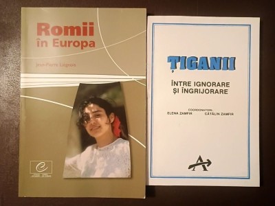 Jean-Pierre Liegeois - Romii &amp;icirc;n Europa + Elena Zamfir; Cătălin Zamfir - Țiganii &amp;icirc;ntre ignorare și &amp;icirc;ngrijorare foto