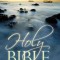 Larger Print Bible-NIV