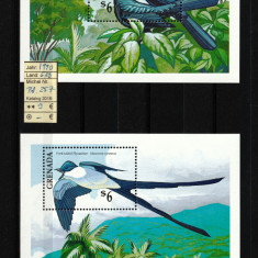 Timbre Caraibe, Grenada, 1990 | Păsări locale, Natură | 2 Coliţe - MNH | aph