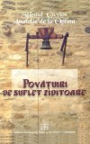 Povățuiri de suflet ziditoare - Paperback brosat - Sf&acirc;ntul Cuvios Anatolie de la Optina - Institutului Biblic şi de Misiune Ortodoxă