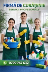 Curatenie apartamente , case , birouri . Seriozitate si calitate !