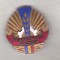 bnk ins Insigna Fruntas in coop. de consum