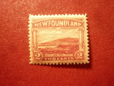 Timbru Newfoundland Canada colonie britanica 1923 , 2c peisaj foto