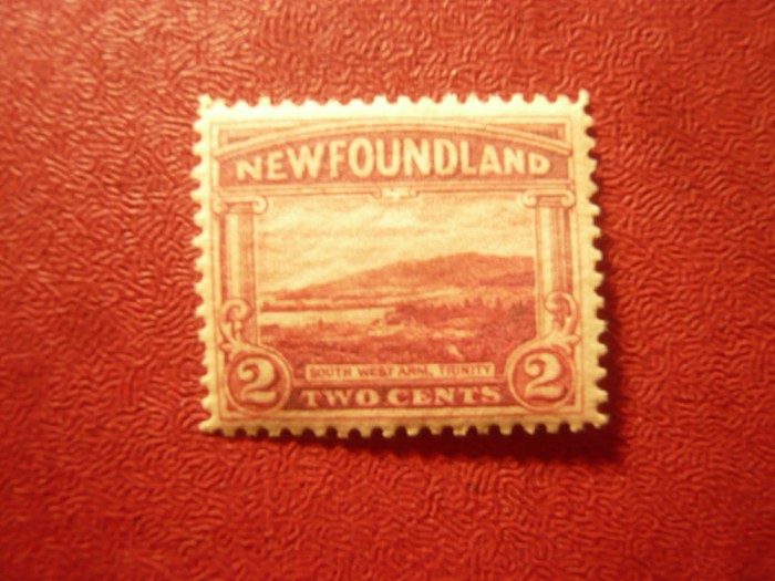 Timbru Newfoundland Canada colonie britanica 1923 , 2c peisaj