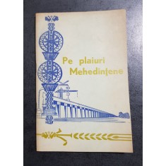 Pe plaiuri mehedintene. Realizari si perspective
