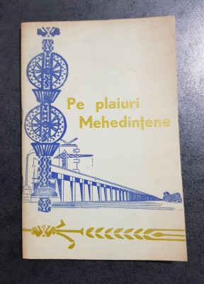 Pe plaiuri mehedintene. Realizari si perspective foto