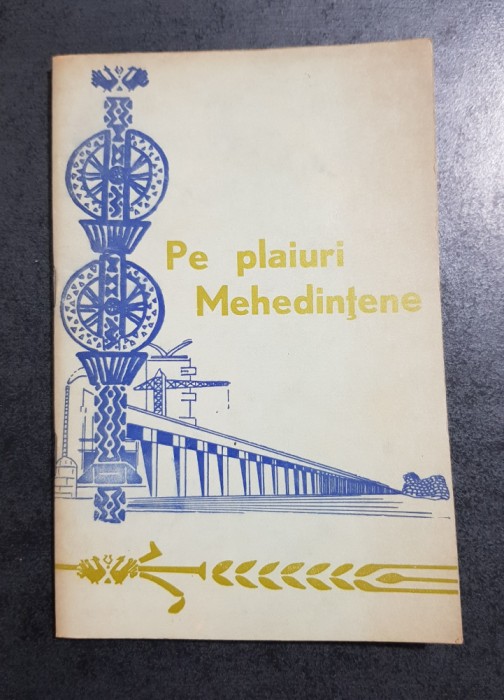 Pe plaiuri mehedintene. Realizari si perspective