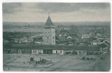 4273 - SALONTA, Bihor, Market, Romania - old postcard - unused, Necirculata, Printata