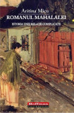 Romanul mahalalei. Istoria unei rela&Aring;&pound;ii complicate - Paperback brosat - Aritina Micu - Hoffman, 2020