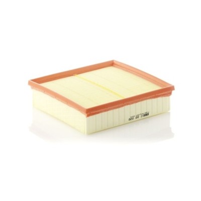 Filtru aer Mann-Filter C22020 foto