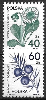 B2392 - Polonia 1989 - Uzuale 2v.,neuzat,perfecta stare foto