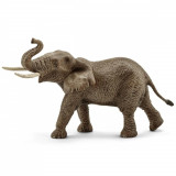 Figurina - Mascul Elefant African | Schleich