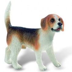 Caine rasa Beagle - Figurina