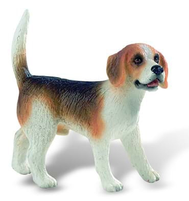 Caine rasa Beagle - Figurina