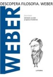 Cumpara ieftin Descopera filosofia. Weber. Stiintele sociale si epoca moderna/Erica Grossi