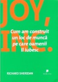 Joy, Inc. Cum am construit un loc de munca pe care oamenii il iubesc, Publica