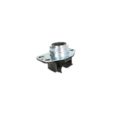 Suport motor Renault CLIO II BB0 1 2 CB0 1 2 FORTUNE LINE FZ90442 foto
